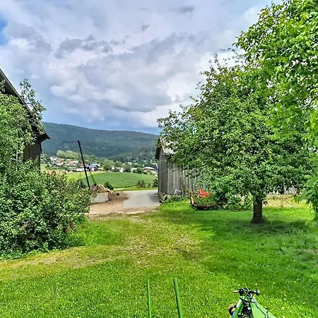 Boehmerwald Pur2-5 By Interhome Apartment Klaffer am Hochficht